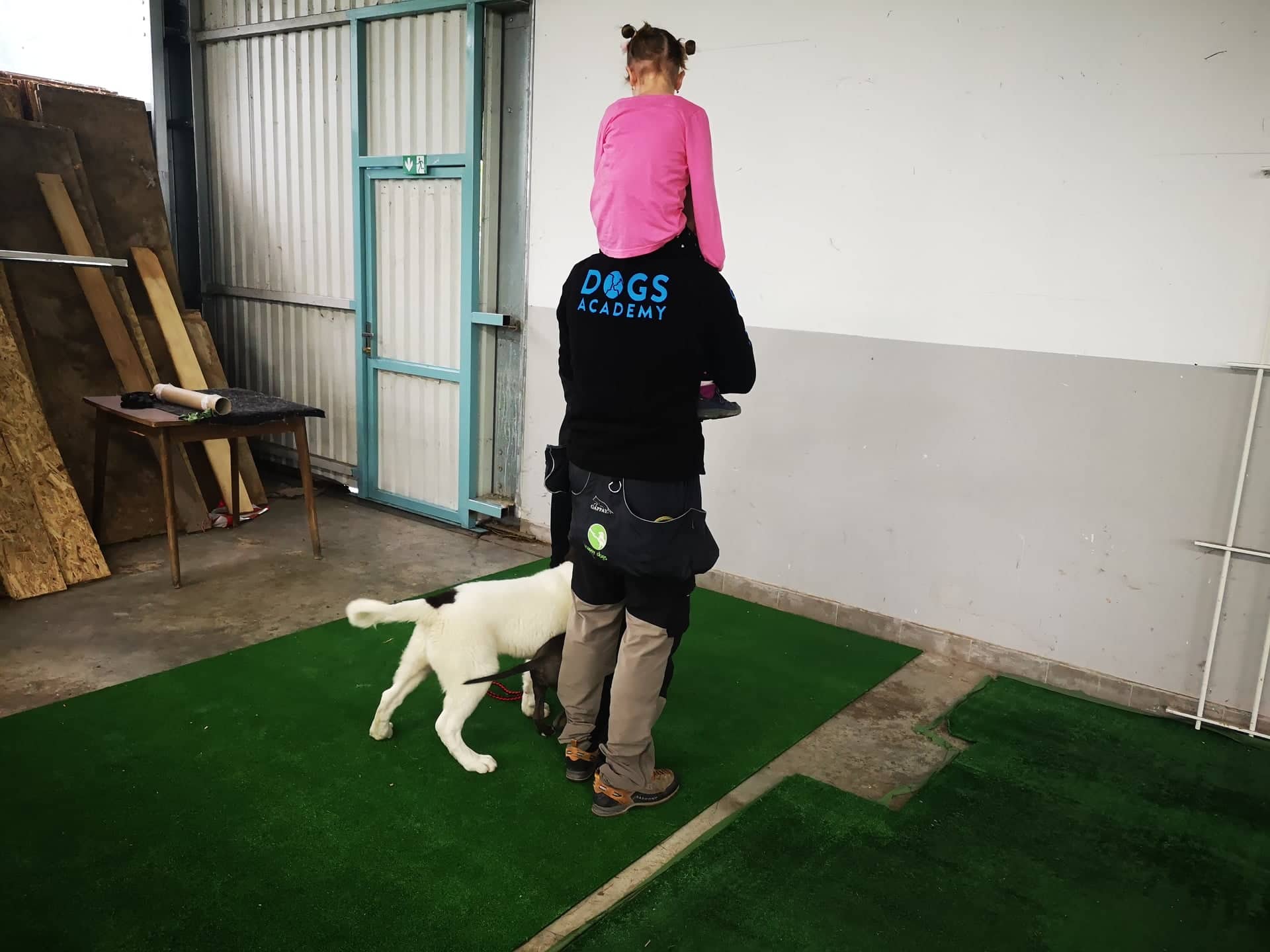 Výcvik šteniatok v Žiline