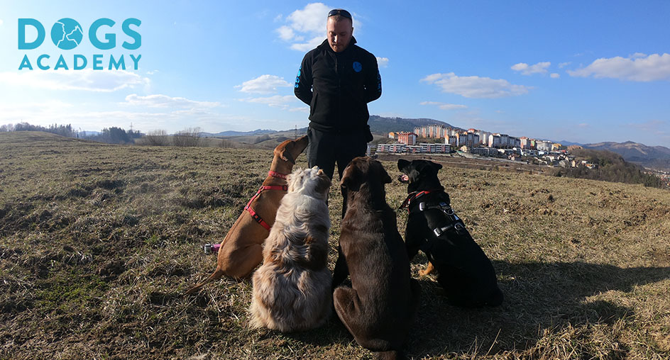 Trening psov Žilina